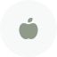 apple icon